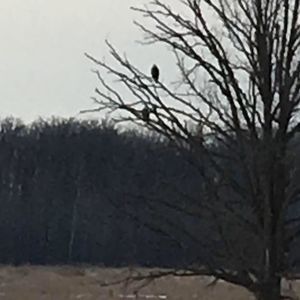 Meet your Posher, Marilyn